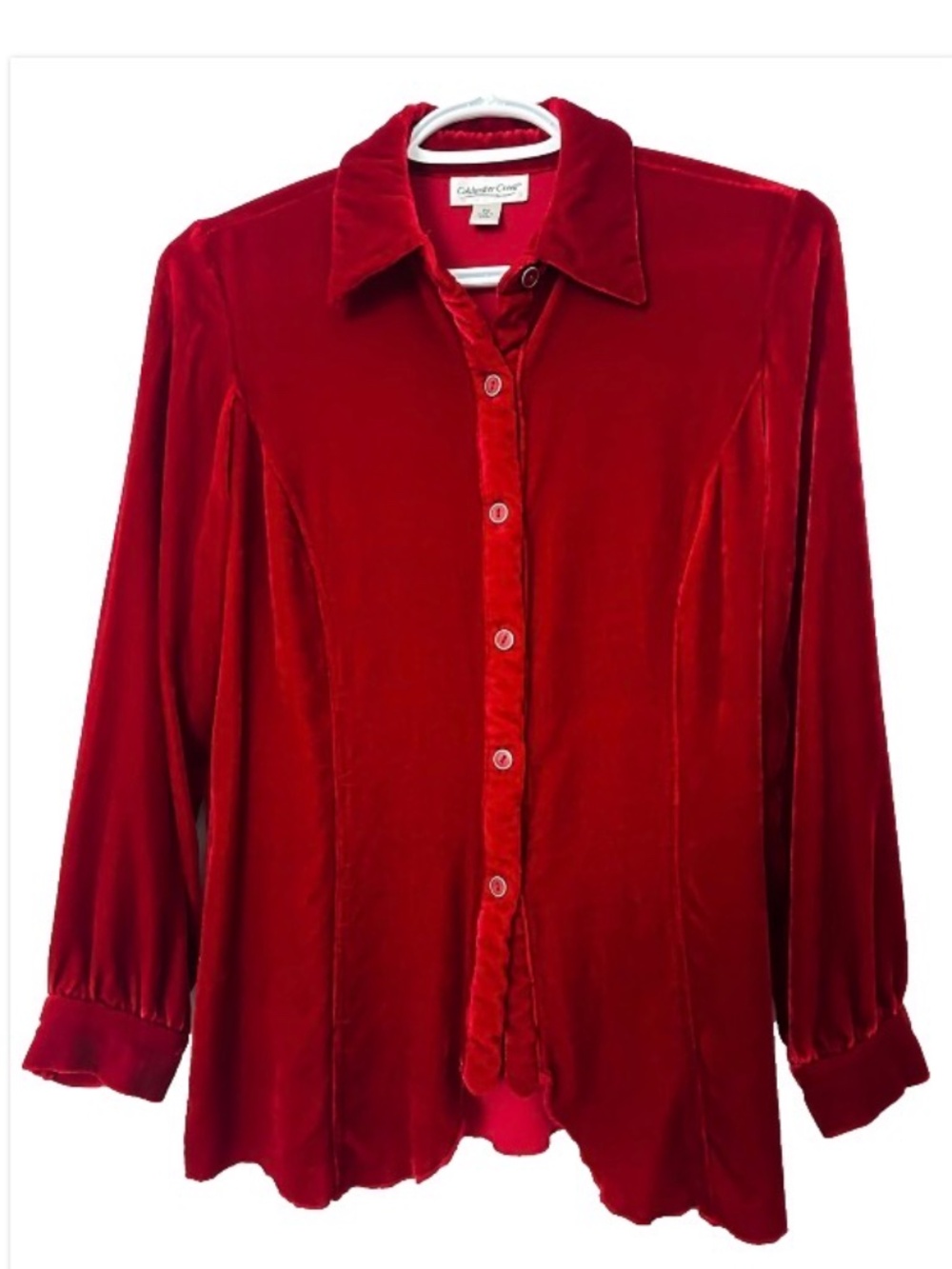 Coldwater Creek Women's Size Petite S Stunning Red Velvet SILK/Rayon Flowy Top